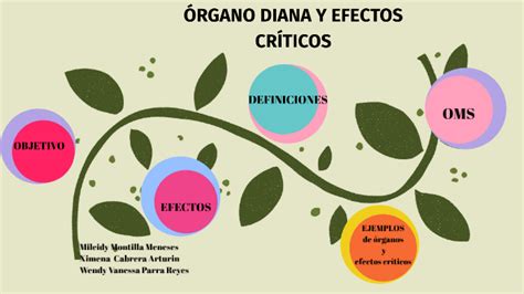 ÓRGANO DIANA Y EFECTOS CRÍTICOS by Mileidy Montilla Meneses on Prezi