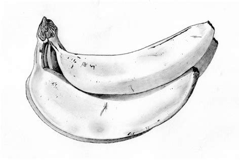 Banana Sketch Images at PaintingValley.com | Explore collection of ...