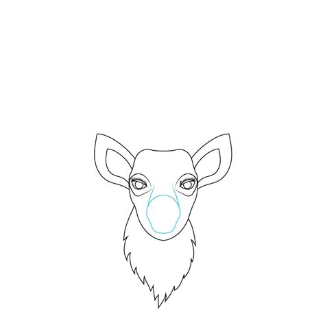 How to Draw A Deer Head Step by Step