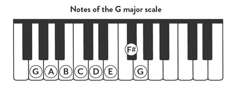 Learn All About the G Major Piano Scale - Hoffman Academy Blog
