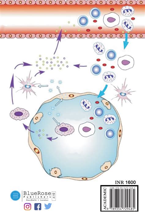 CYTOKINES SIGNALING MOLECULES OF PERIODONTIUM – BlueRose | SELF ...