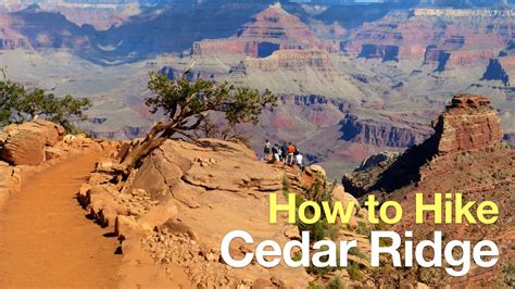 Cedar Ridge Trail - HikingGuy.com