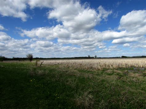 The Park Next Door - Horicon Marsh State Wildlife Area - Horicon, WI ...