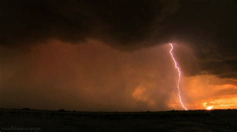 Head Like an Orange | Thunderstorms, Thunderstorm asthma, Giphy