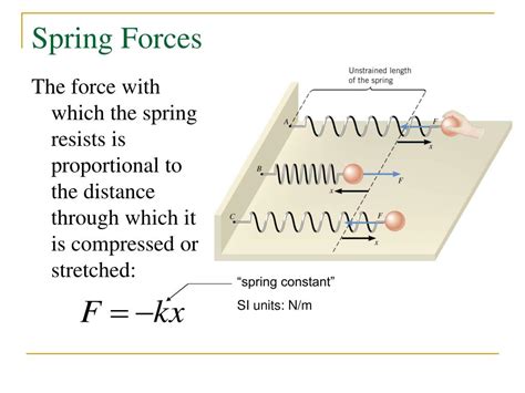 PPT - Spring Forces and Simple Harmonic Motion PowerPoint Presentation ...