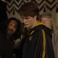 cedric diggory (harry potter and the goblet of fire) icons! Hufflepuff Characters, Harry Potter ...