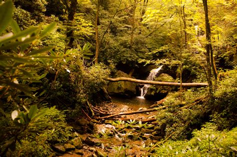 Hike to Brushy Mountain - Brownie Bites Blog