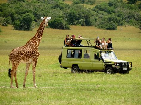 4x4 4WD safari jeep - Top Tourist