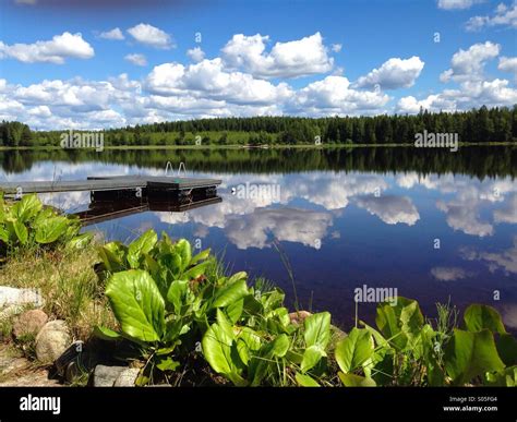 Summer lake scenery with pier Stock Photo - Alamy