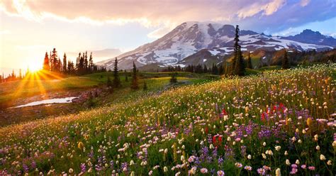 Mount Rainier National Park