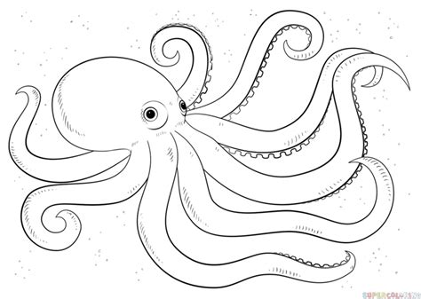 How to draw an octopus | Step by step Drawing tutorials | Octopus drawing, Octopus coloring page ...