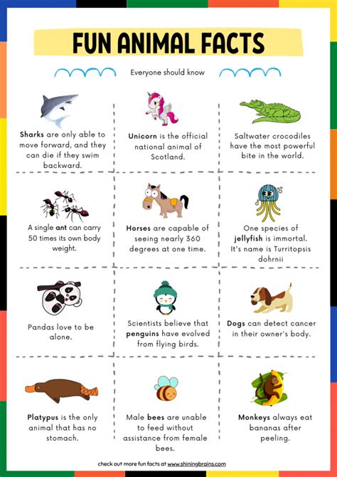 Fun Facts about Animals for Kids with free animal facts Printable