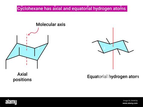 Cyclohexane has axial and equatorial hydrogen atoms Stock Vector Image ...