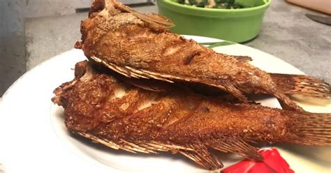 Resep Ikan kerapu goreng garing oleh Dewi Dapur - Cookpad