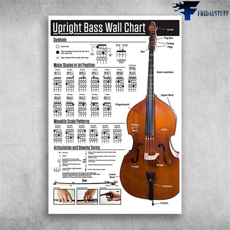 Upright Bass Wall Chart Major Scales In 1st Position - FridayStuff