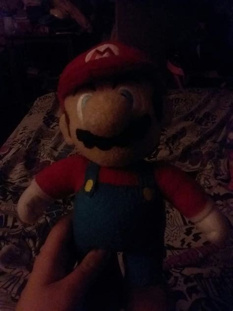 My Mario plush and Wario keychain (missing keychain tho) | Mario Amino