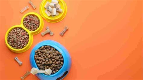 7+ The best freeze dried dog food for your Pooch