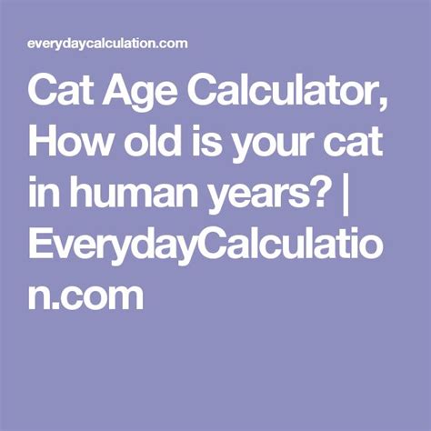 Cat Age Calculator, How old is your cat in human years? | EverydayCalculation.com | Cat ages ...