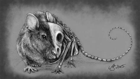 Rat - Skull And Bones by SarembaArt on DeviantArt