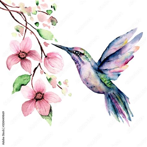 Hummingbird Flowers Clip Art