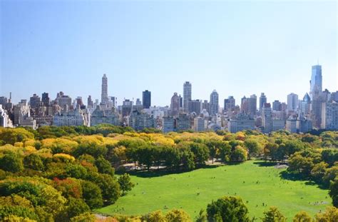 The 19 Best New York City Tours