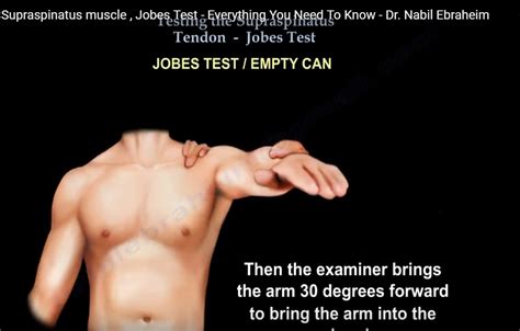 Supraspinatus Muscle testing and the Jobe test — OrthopaedicPrinciples.com