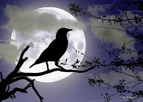 Clipart Of Crow And Moon