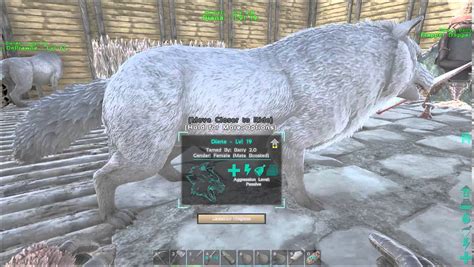 ARK: Survival Evolved | Breeding Dire Wolves tutorial! - YouTube