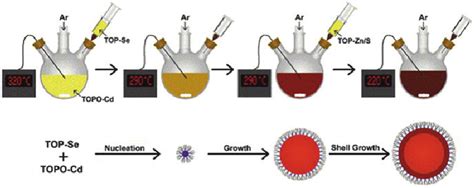 Colloidal synthesis of CdSe quantum dots. TOP trioctylphosphine, TOPO ...