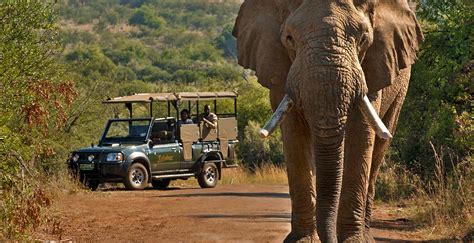 Weekend bush getaways near Johannesburg - Safari Index Africa