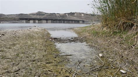 Health concerns rise as restriction of water flow by Turkey concentrates pollution in Euphrates ...