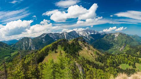 Some of the world's oldest Alpine plants are in China's Hengduan mountain ranges, study finds ...