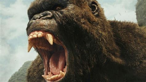 The Ending Of Godzilla Vs. Kong Explained