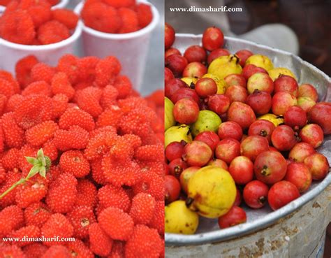 Mauritian raspberries and guavas... | Mauritius food, Mauritian food, Mauritius