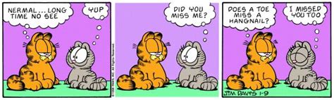 Garfield & Nermal