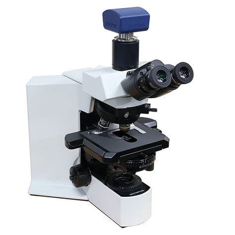 Differential Interference Contrast (DIC) – Martin Microscope