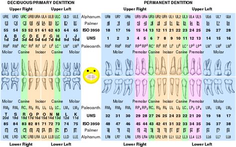 Palmer notation - Wikipedia