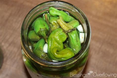 Refrigerator Pickled Pepperoncini Peppers - Blessings Overflowing ...