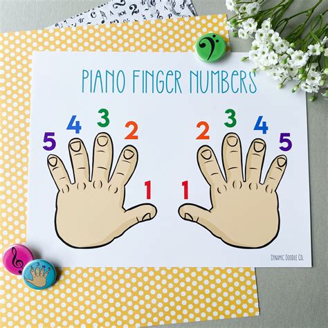 Piano Finger Numbers Poster in 2022 | Number poster, Music poster ...