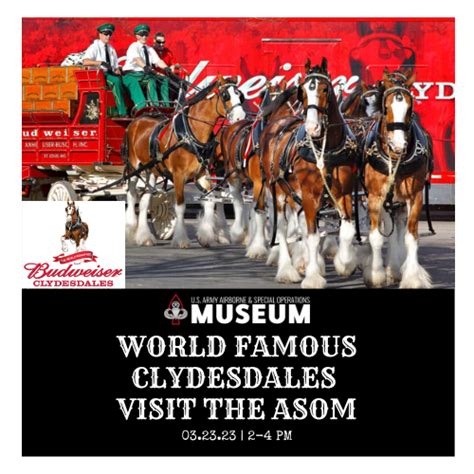 2024 Budweiser Clydesdale Calendar - Liza Sheryl