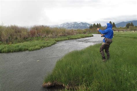 Full Day Montana Private Water Fishing Trip | Montana Angler