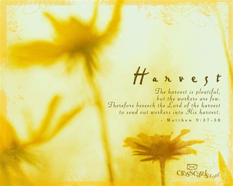 Harvest - Bible Verses and Scripture Wallpaper for Phone or Computer