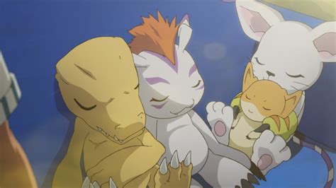 10 Crazy And Fun Facts About Gatomon From Digimon - Tons Of Facts