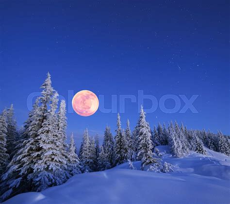 Full moon in winter | Stock image | Colourbox