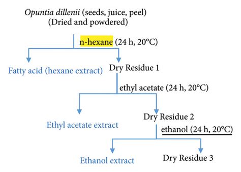 Maceration extraction process. | Download Scientific Diagram