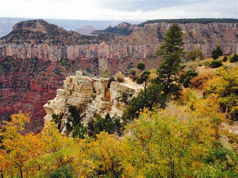 Fall colors on the North Rim | Grand Canyon National Park, N… | Flickr