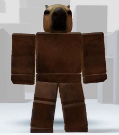 My Roblox Avatar is a capybara lol : capybara