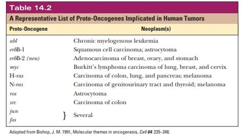 Oncogenes