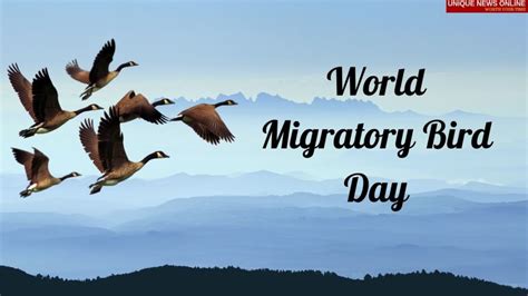 World Migratory Bird Day 2021 Poster, Quotes, Messages, and Images to share