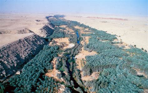 Global Architecture Blog: Profile: Wadi Hanifa Wetlands, Riyadh